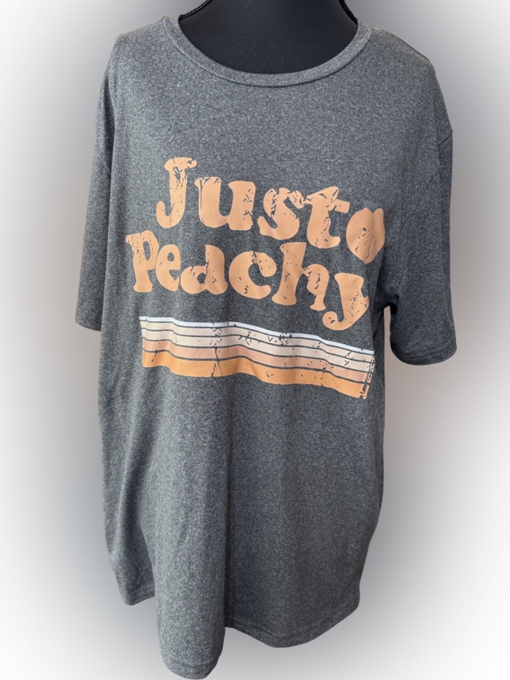 Just Peachy Graphic Tee in Heather Gray and Peach NWOT Size XLarge